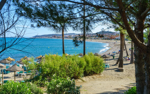 Ático Los Pelicanos - Photo 30